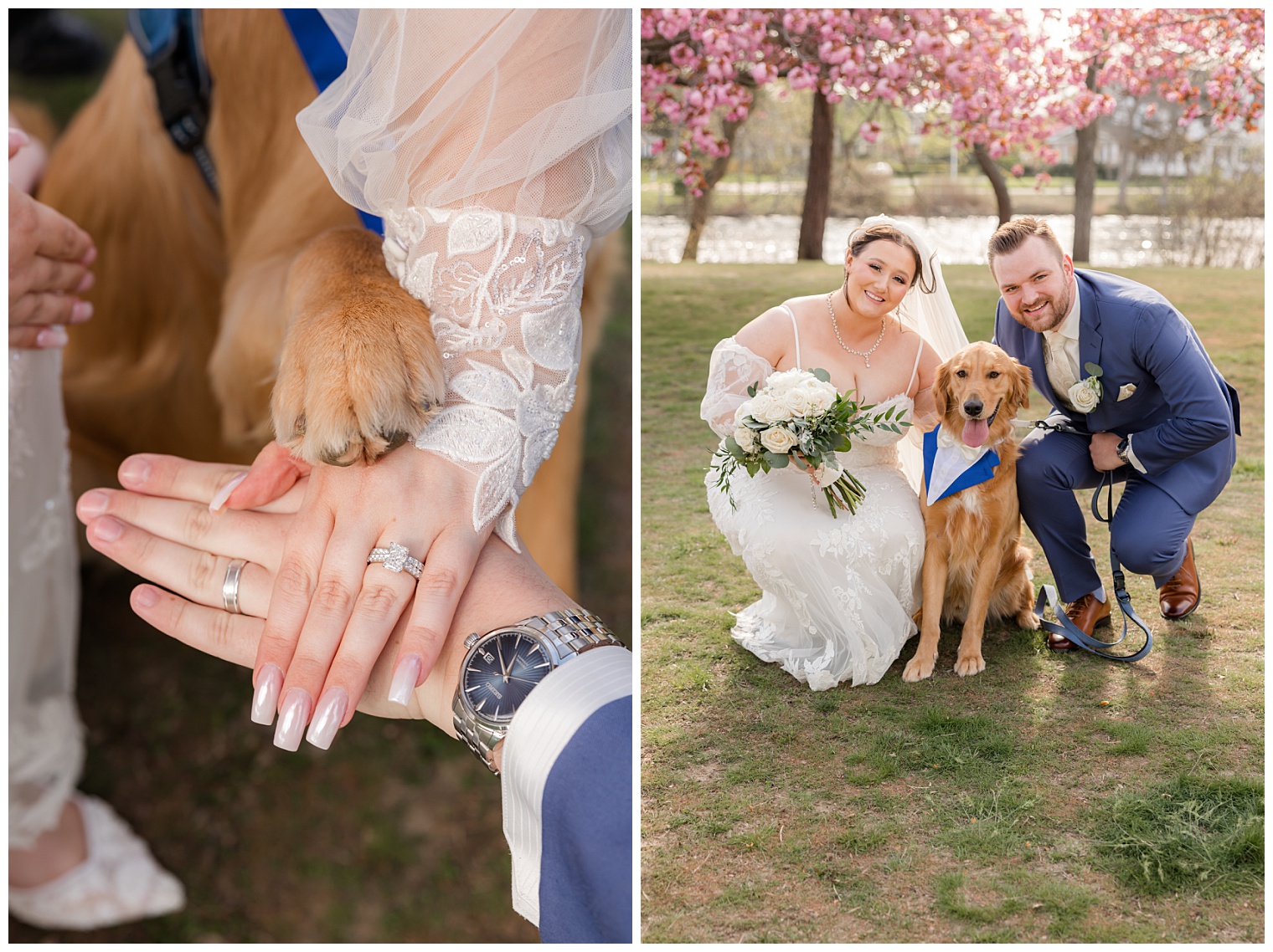 bride and groom with their dog